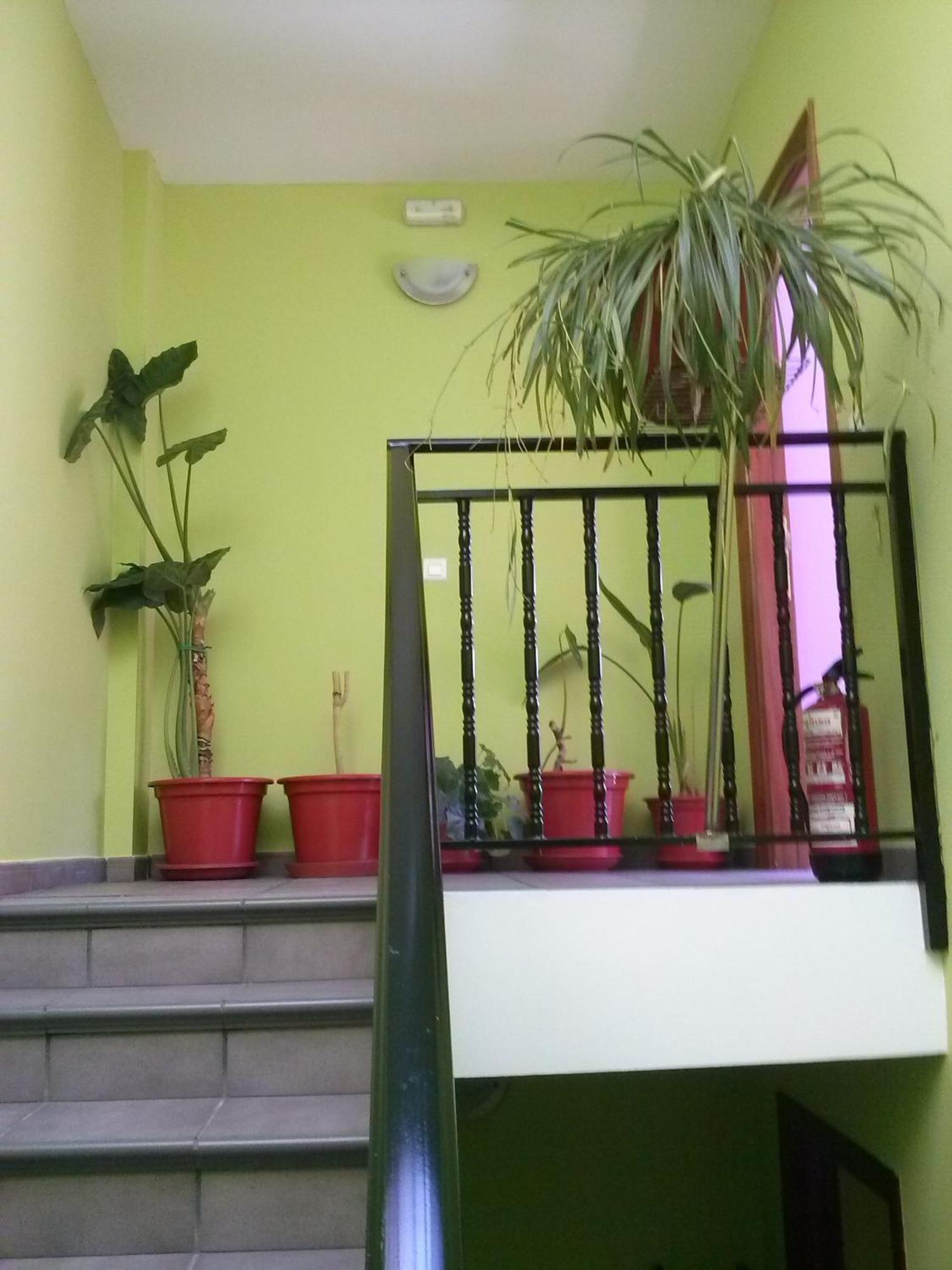 Hostal Ciudad De Najera Ruang foto